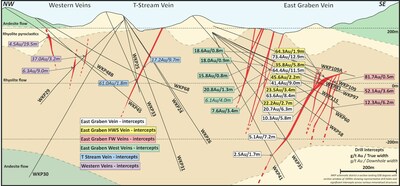Figure 6: Wharekirauponga Schematic Cross Section Showing Geology and Historical and New Intercepts (CNW Group/OceanaGold Corporation)